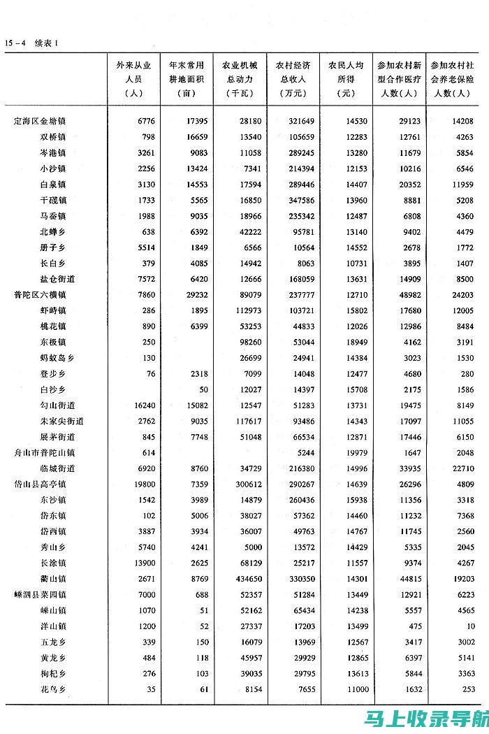 乡镇统计站长在乡村振兴中的职责探讨：数据驱动的决策支持